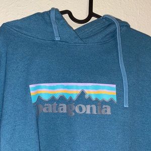 Patagonia Hoodie